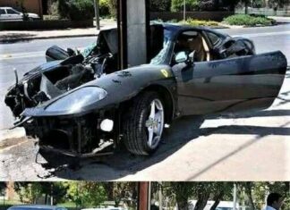 Comedy World Mourns: Popular Comedian Dies in Unexpected Tree Accident