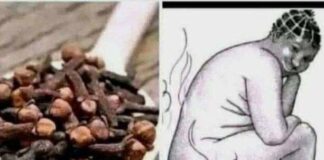 Unlock the Wellness Secrets of Cloves with These Easy Home Remedies