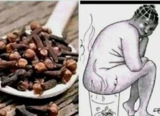 Unlock the Wellness Secrets of Cloves with These Easy Home Remedies