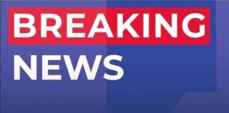 FDA Warns: Dried Apricots Contain Undeclared Sulfites Across 20 States