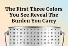 The Hidden Language of Color: How Your Preferences Reflect Your Mind and Mood