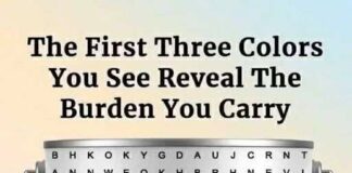 The Hidden Language of Color: How Your Preferences Reflect Your Mind and Mood