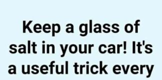 The Surprising Life Hack Cops Recommend for Icy Roads and Car Emergencies