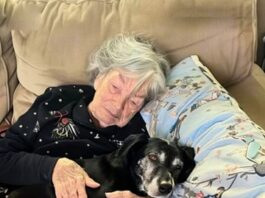 While my family fought over Grandma’s inheritance, I took in her beloved dog — and uncovered the secret she’d left behind just for me