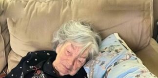 While my family fought over Grandma’s inheritance, I took in her beloved dog — and uncovered the secret she’d left behind just for me