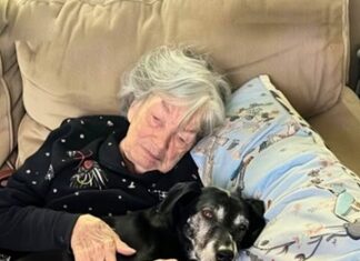 While my family fought over Grandma’s inheritance, I took in her beloved dog — and uncovered the secret she’d left behind just for me
