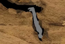 Harrowing final words of man who suffered ‘worst death ever’