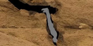 Harrowing final words of man who died ‘worst death ever’