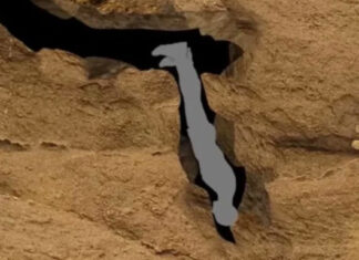 Harrowing final words of man who suffered ‘worst death ever’