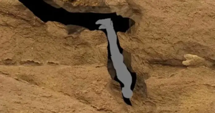 Harrowing final words of man who suffered ‘worst death ever’