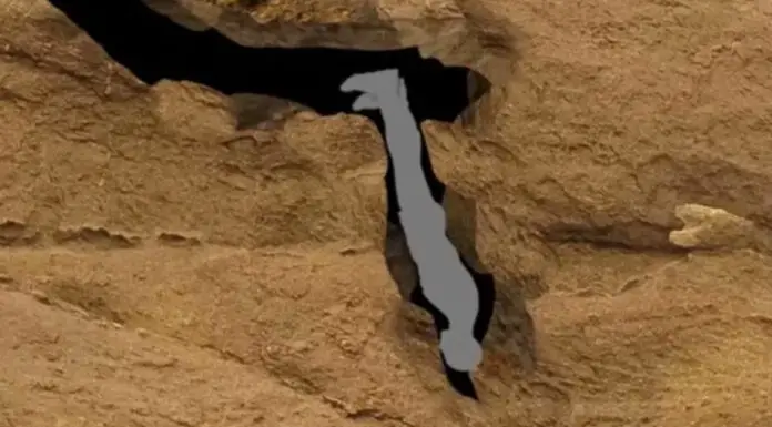 Harrowing final words of man who suffered ‘worst death ever’