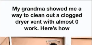 Grandma’s go-to dryer vent cleaning secret that never fails