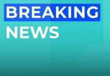 Fourth of July Favorite Pulled from Shelves: Kraft Heinz Recalled 367,000 Pounds of Contaminated Turkey Bacon