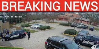 Small-town mayor arrested after citizenship scandal emerges