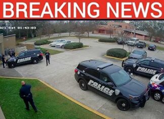 Small-town mayor arrested after citizenship scandal emerges