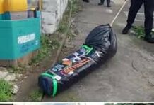 Father Survives Horrific Massacre: Mystery Surrounds Chicago Family Deaths