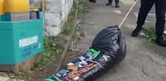 Father Survives Horrific Massacre: Mystery Surrounds Chicago Family Deaths