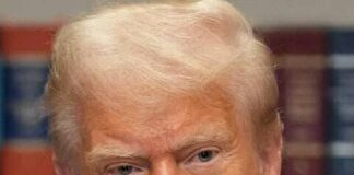 Americans Show Growing Desire for Accountability in Trump Presidency