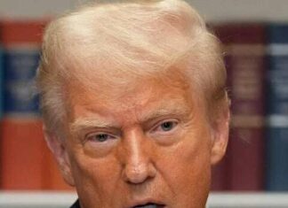 Americans Show Growing Desire for Accountability in Trump Presidency