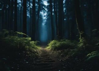 Mystery in the Shadows: The Films That Explore Creatures Science Can’t Explain