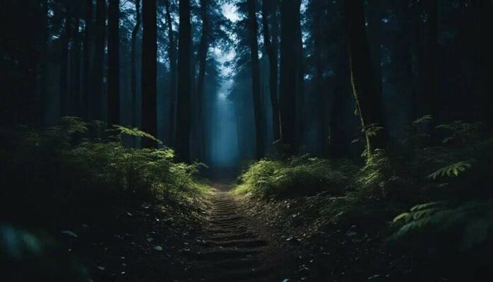 Mystery in the Shadows: The Films That Explore Creatures Science Can’t Explain