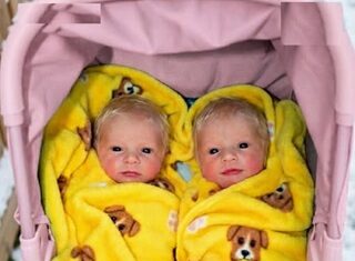 ‘I had to take them, mom,’ said my 16-year-old when he came home with newborn twins