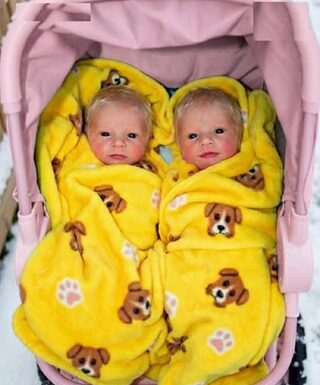 ‘I had to take them, mom,’ said my 16-year-old when he came home with newborn twins