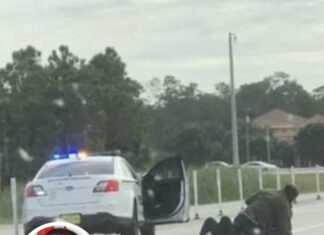 Bystander who shot man attacking officer learns his fate