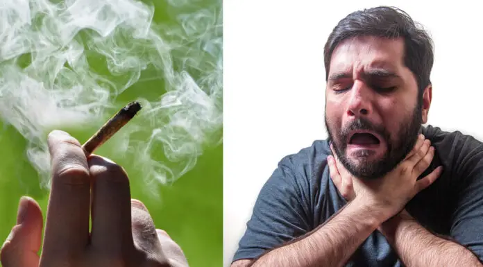 What is ‘scromiting’? US citizens warned about terrifying cannabis side effect