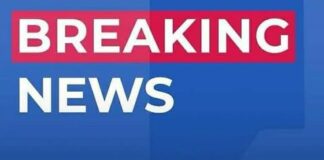 Horrific Plane Crash in Caribbean Claims Lives of 12, Including Celebrated Musician