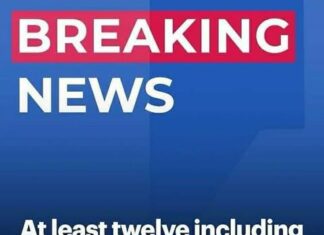 Horrific Plane Crash in Caribbean Claims Lives of 12, Including Celebrated Musician