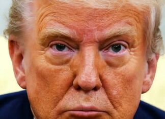 Behind the Headlines: What the Latest Trump Ratings Says About the Nation