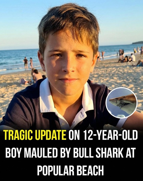 Local support grows following beach incident involving 12-year-old in Sydney