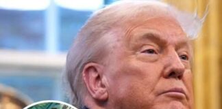 Alert Issued on Who Qualifies for Trump’s $2,000 Dividend—Especially Singles