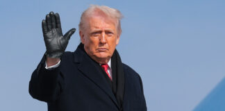 Former CIA operative says he knows ‘true reason’ Trump wants to take over Greenland