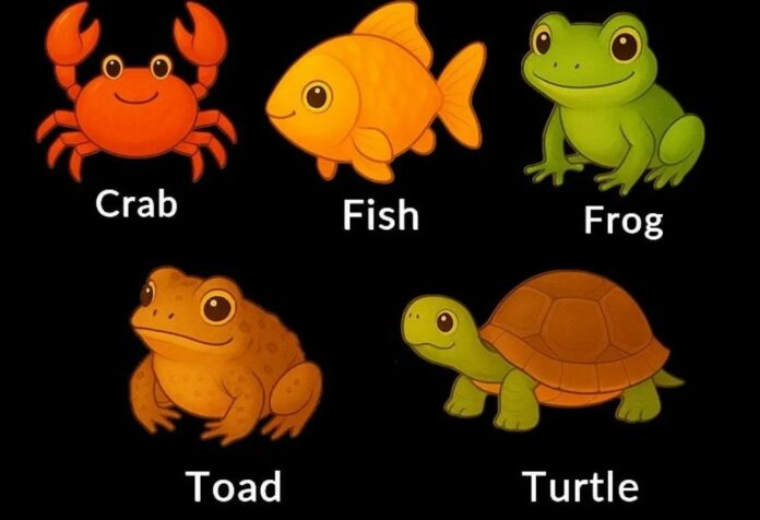 What your pick in a simple ‘odd one out’ quiz says about your thinking style and what your brain prioritizes