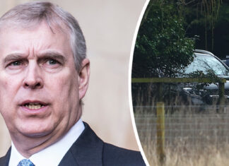 Former Prince Andrew’s angry 11-word outburst after being arrested – insider reveals
