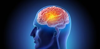 New research reveals key brain development changes before birth may influence the risk of autism and schizophrenia