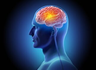 New research reveals key brain development changes before birth may influence the risk of autism and schizophrenia