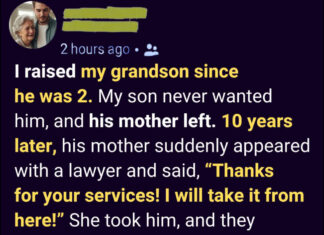 She took my grandson from me after I brought him up — years later, he came back a different person