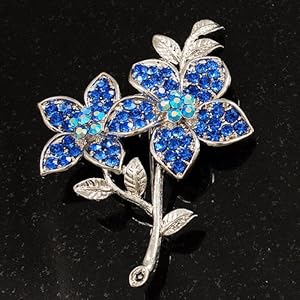 I paid the price for being kind and lost my job — but then the brooch came, and nothing was the same