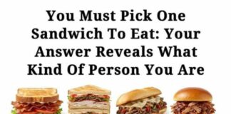 You have to choose just one sandwich to eat—your pick says a lot about your personality