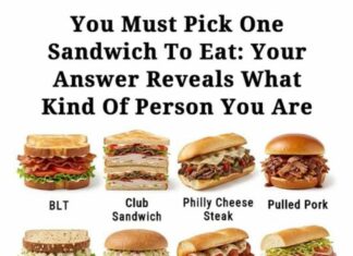 You have to choose just one sandwich to eat—your pick says a lot about your personality