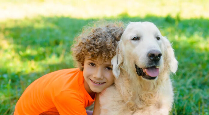 My MIL secretly cut my son’s curls—but my husband’s response at dinner stunned her