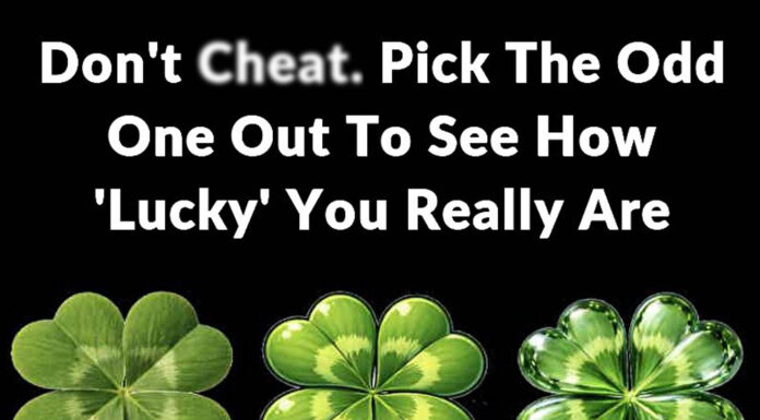 Don’t cheat: Pick the odd one out to see how ‘lucky’ you really are