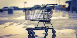 What sets apart people who return the shopping cart from those who don’t?