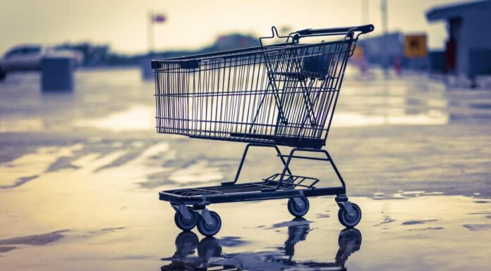 What sets apart people who return the shopping cart from those who don’t?