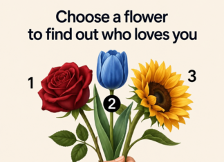 Pick a flower and see who loves you