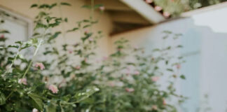 24 traits women find most attractive