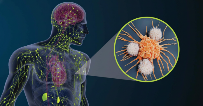 What role does the lymphatic system play in cancer progression?